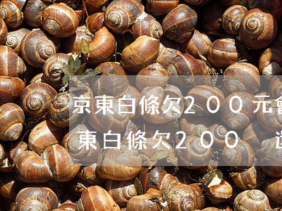 京東白條欠200元會(huì)上門嗎(京東白條欠200沒還)