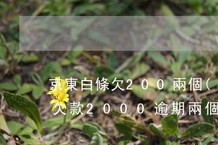 京東白條欠200兩個(gè)月(京東白條欠款2000逾期兩個(gè)月會(huì)上門(mén)嗎)