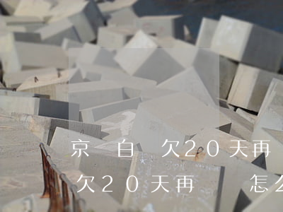 京東白條欠20天再還會怎么樣-京東白條欠20天再還會怎么樣嗎