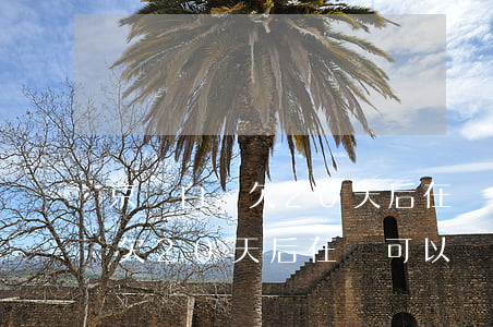京東白條欠20天后在還可以嗎-京東白條欠20天后在還可以嗎怎么還款
