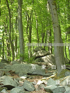 京東白條欠24000還不上(欠京東白條200塊錢(qián))