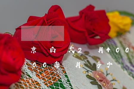 京東白條欠2個月4000(京東白條欠8000每個月還多少)