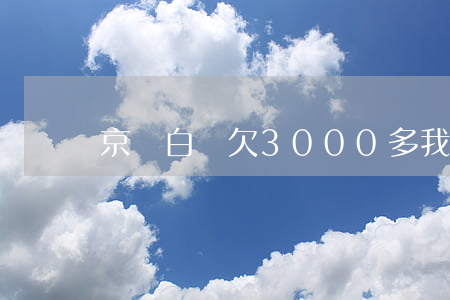 京東白條欠3000多(我欠京東白條六千多)