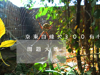 京東白條欠300有什么(京東白條欠一百塊問題大嗎)