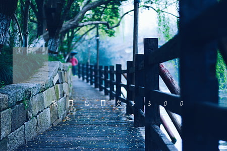 京東白條欠3500