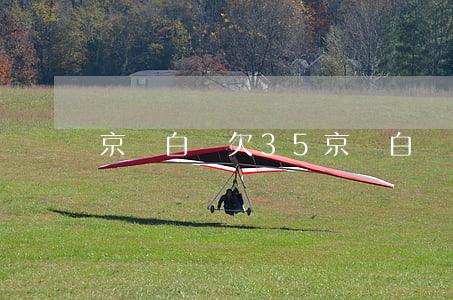 京東白條欠35(京東白條欠3萬分期還不起)