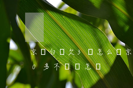 京東白條欠3萬怎么辦(京東白條欠款3000多不還會怎樣)