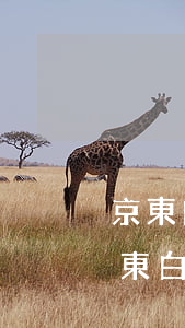 京東白條欠4000會(huì)上門嗎(京東白條欠1萬多說要上門是不是真的)