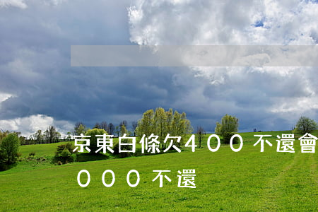 京東白條欠400不還會怎么樣(京東白條3000不還)