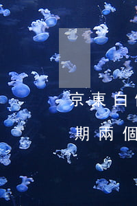 京東白條欠480(京東白條欠款1000逾期兩個月會被起訴嗎)