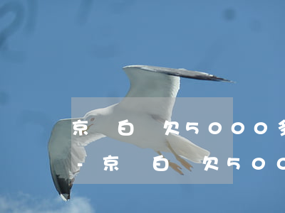 京東白條欠5000多會(huì)坐牢嗎-京東白條欠5000多會(huì)坐牢嗎知乎