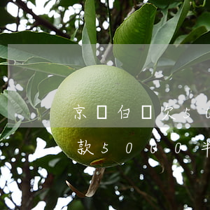 京東白條欠5000會不會坐牢(京東白條欠款5000半年會被起訴坐牢嗎)