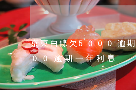 京東白條欠5000逾期一年(京東白條5000逾期一年利息)