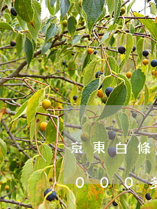 京東白條欠500三年(京東白條逾期三年5000多)