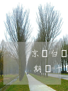 京東白條欠500元會上征信嗎(京東白條逾期幾十塊錢會上征信么)