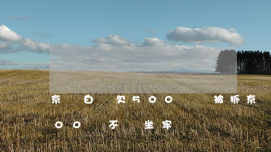 京東白條欠500塊會被抓(京東白條欠5000會不會坐牢)