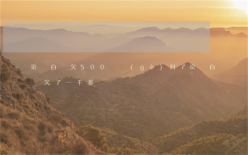 京東白條欠500幾個(gè)月了(京東白條欠了一千多)