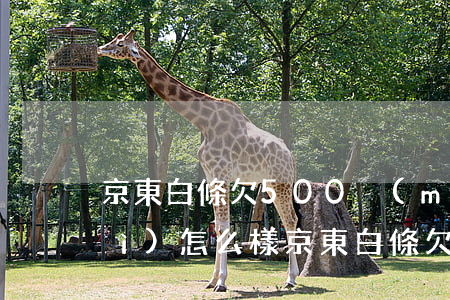 京東白條欠500沒(méi)還會(huì)怎么樣(京東白條欠500會(huì)上門(mén)嗎2個(gè)月)