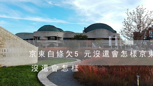 京東白條欠5元沒還會怎樣(京東白條欠5元沒還會怎樣)