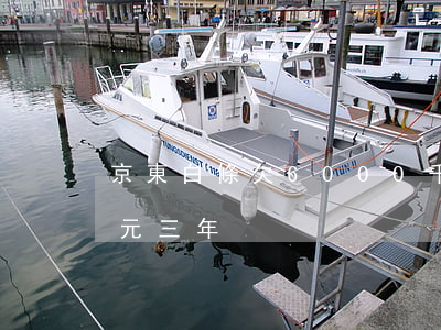 京東白條欠6000千(欠京東白條6000元三年)