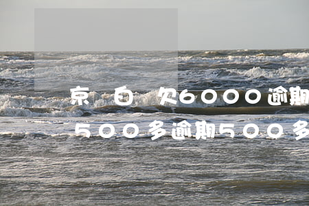 京東白條欠6000逾期還了(京東白條欠了500多逾期500多)