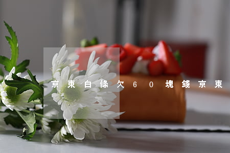 京東白條欠60塊錢(京東白條欠60塊錢)
