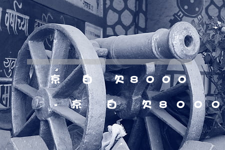京東白條欠8000塊錢會(huì)上門-京東白條欠8000塊錢會(huì)上門催收嗎