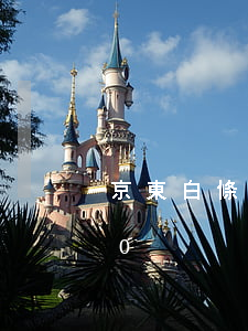 京東白條欠800塊錢(京東白條欠20000)