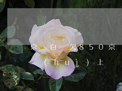 京東白條欠850(京東白條欠款逾期了真的會(huì)上門嗎)
