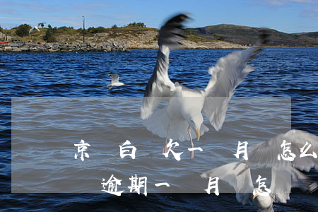 京東白條欠一個月會怎么樣(京東白條欠幾十塊逾期一個月會怎樣)