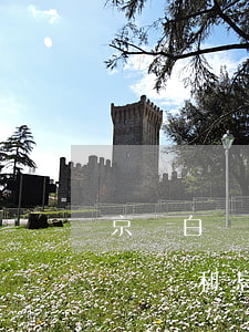 京東白條欠一分錢利息(京東白條按時還錢應該沒利息吧)