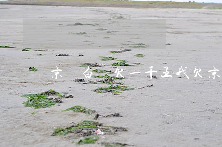京東白條欠一千五(我欠京東白條六千多)