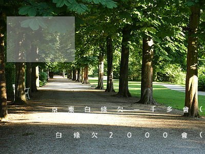 京東白條欠一千多會(huì)怎么樣(京東白條欠2000會(huì)怎么樣)