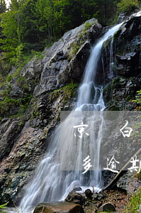 京東白條欠一年不還有事嗎(欠京東白條一萬多逾期不還會有什么后果)