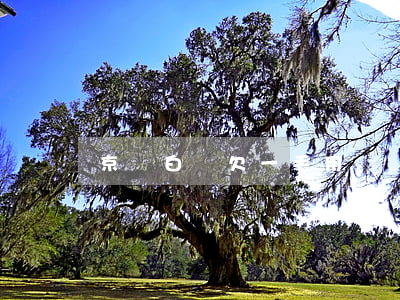 京東白條欠一毛用還嗎(京東白條欠一毛錢沒還)