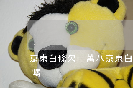 京東白條欠一萬八(京東白條欠一百塊問題大嗎)