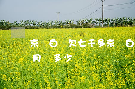 京東白條欠七千多(京東白條欠8000每個月還多少)
