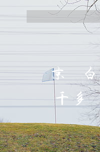 京東白條欠九千多一百多天(京東白條欠了一千多)