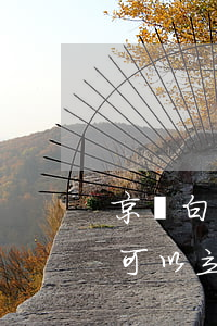 京東白條欠了1000立案(京東白條欠多少可以立案)