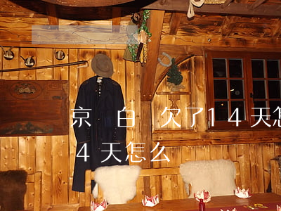 京東白條欠了14天怎么辦(京東白條欠了14天怎么辦)