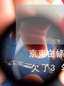 京東白條欠了3年多少利息多少-京東白條欠了3年多少利息多少啊