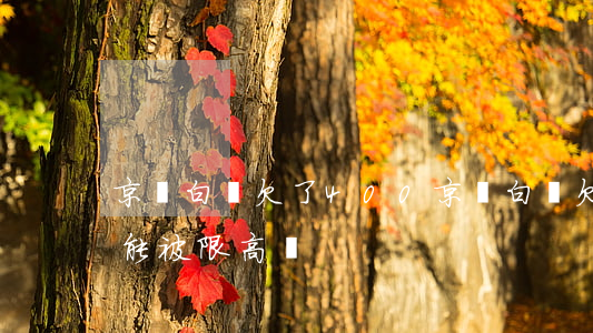 京東白條欠了400(京東白條欠了400塊能被限高嗎)