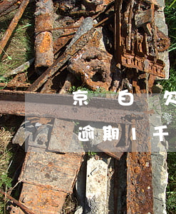 京東白條欠了5000多會上門嗎(京東白條逾期1千多說要上門)