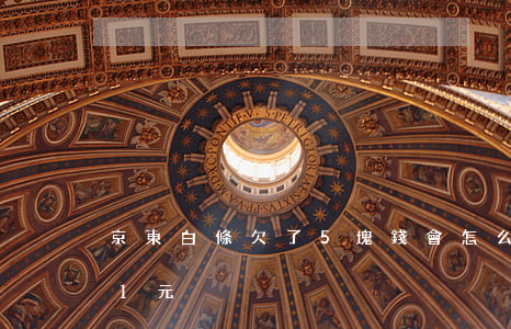 京東白條欠了5塊錢會怎么樣(京東白條欠款1元)