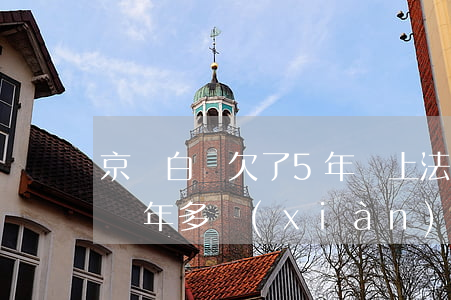 京東白條欠了5年會上法院嘛(京東白條逾期兩年多 現(xiàn)在說要起訴我)