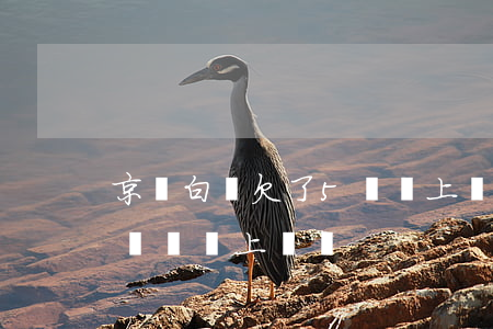 京東白條欠了5萬會上門嗎(京東白條欠四千塊錢會上門嗎)