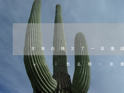 京東白條欠了一百塊錢(qián)會(huì)怎么樣-京東白條欠了一百塊錢(qián)會(huì)怎么樣嗎