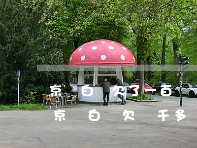 京東白條欠了一百塊錢會(huì)怎么樣(京東白條欠兩千多塊錢有什么后果)