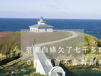京東白條欠了七千多會坐牢不(欠京東白條700塊會不會有刑事責任嗎)