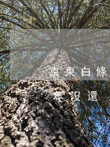 京東白條欠了五千一年沒還(京東白條兩萬5年沒還)
